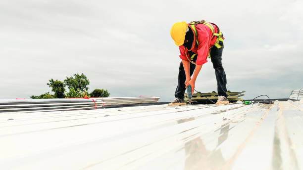 Best Rubber Roofing (EPDM, TPO)  in Kentwood, MI
