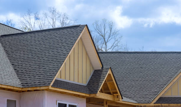 Best Sheet Metal Roofing  in Kentwood, MI