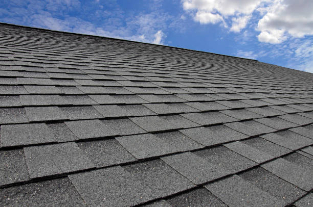 Best Roof Insulation Installation  in Kentwood, MI